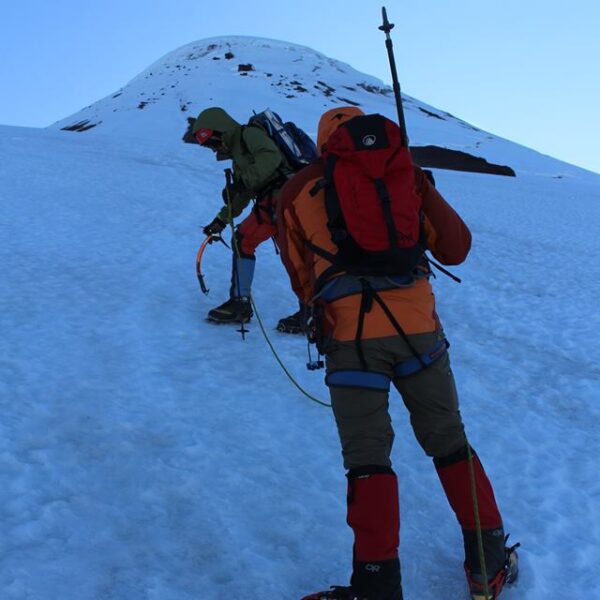 15232093_1255246014528114_1210336595110643671_n